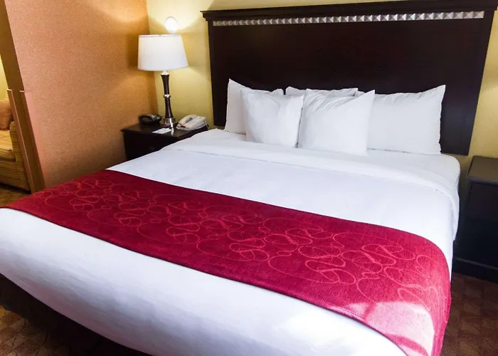 Hotel Spark By Hilton Phoenix Airport